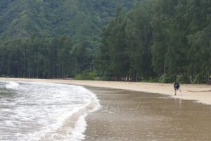 Two people at the shoreline of a beach on a cloudy day