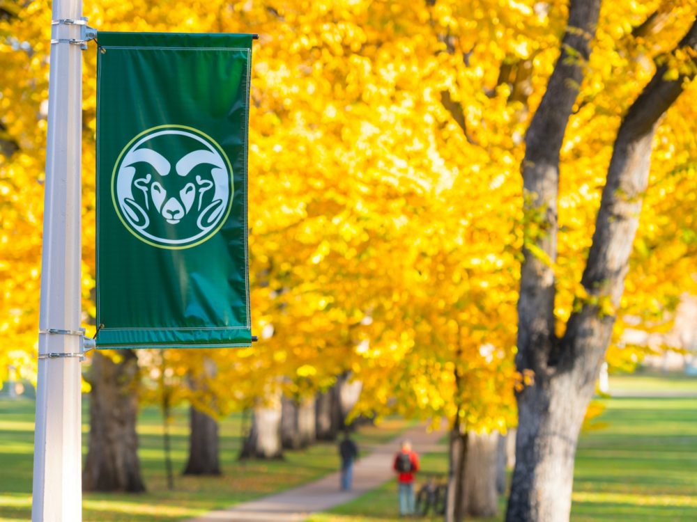 CSU banner and fall color on the Oval