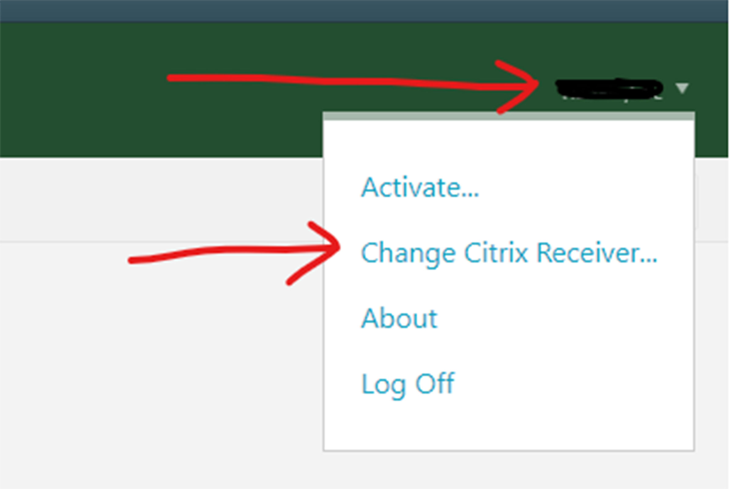 Change Citrix Receiver