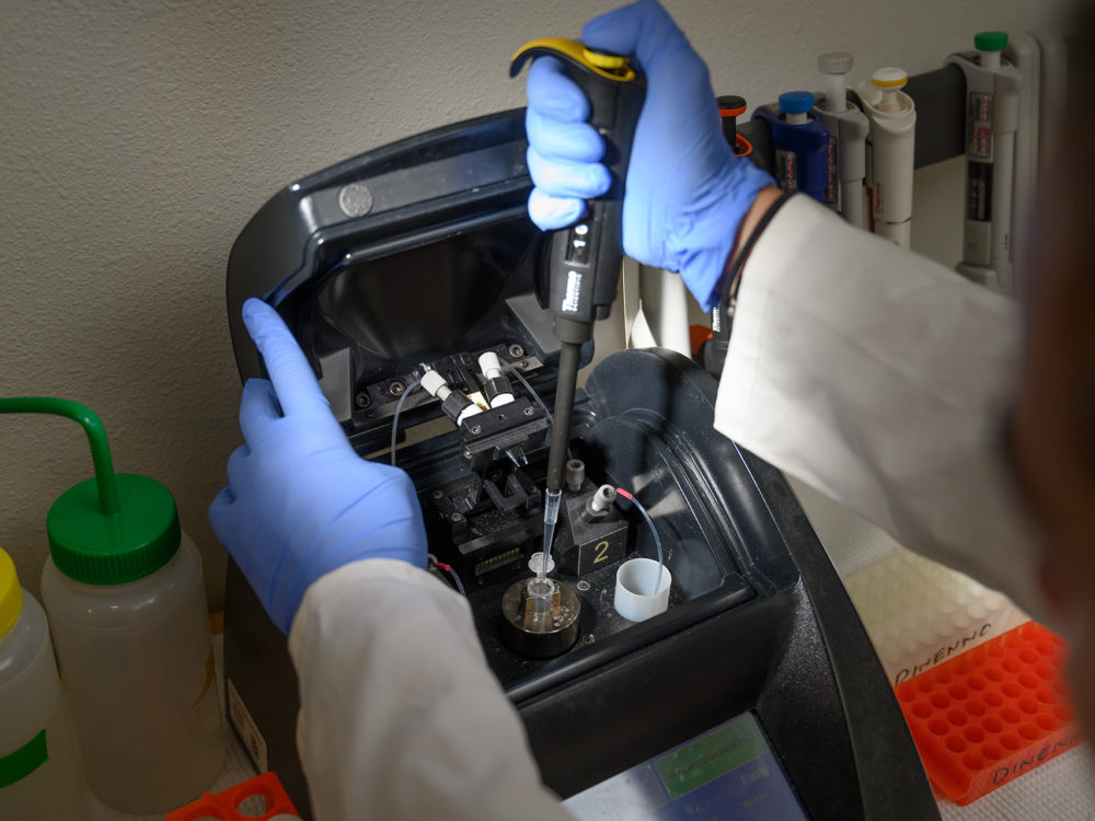 A researcher's hands pipetting in a lab