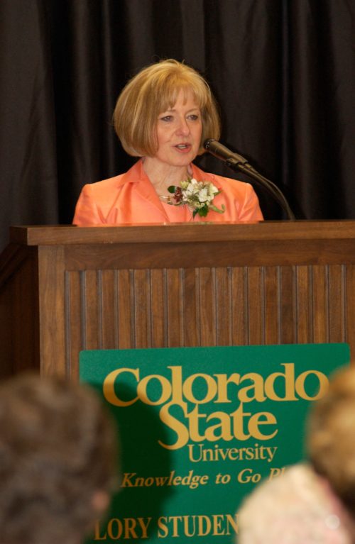 Nancy speaking at her retirement event