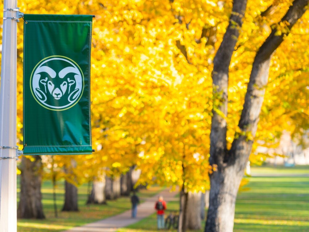 CSU oval in the fall